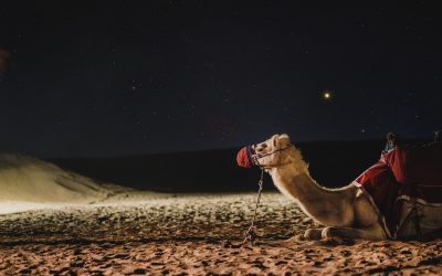 Les activités incontournables à Dubaï