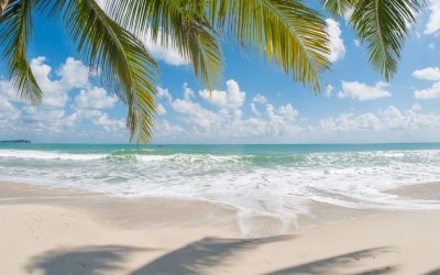 Voyage à Dubaï : Conseils et Bons Plans pour un Séjour Inoubliable