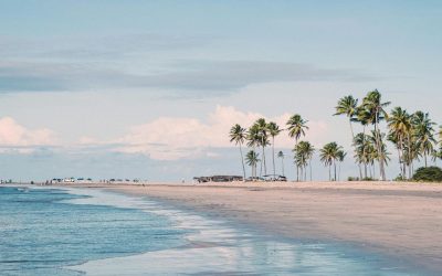 Dubaï ou République Dominicaine : Que Choisir pour vos Vacances ?