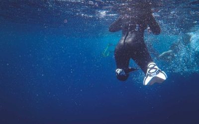 Plongée épave à Dubaï: explorer les trésors engloutis du Golfe Persique
