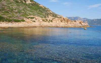 Îles secrètes de Dubaï : quels coins paradisiaques restent encore méconnus ?
