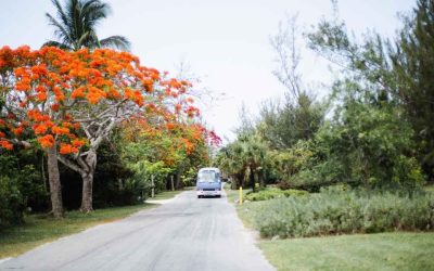 Road trip Dubaï : quels lieux incroyables explorer au-delà des gratte-ciels ?