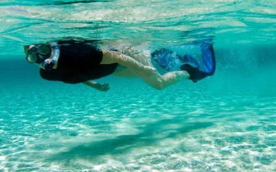 Spots snorkeling Dubaï : où découvrir des fonds marins étonnamment magnifiques ?