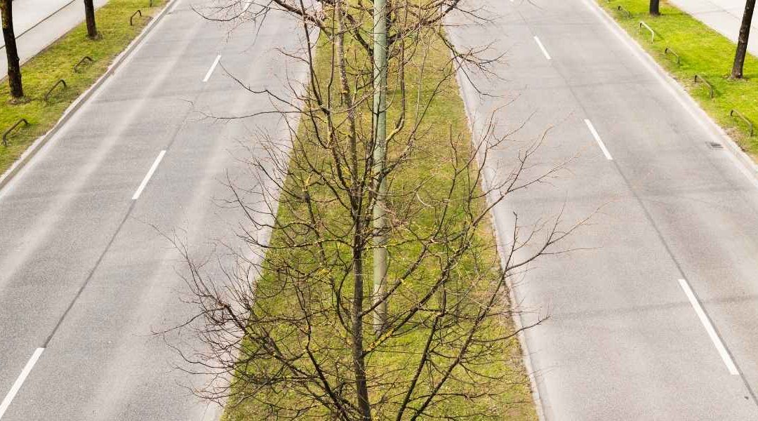 voyager sans voiture