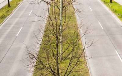 Voyage Dubaï sans voiture : comment explorer facilement la ville sans stress ?