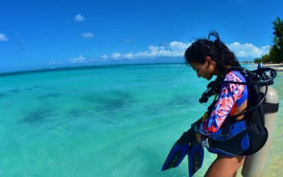 Meilleure période plongée Dubaï : quand partir pour explorer les fonds marins ?