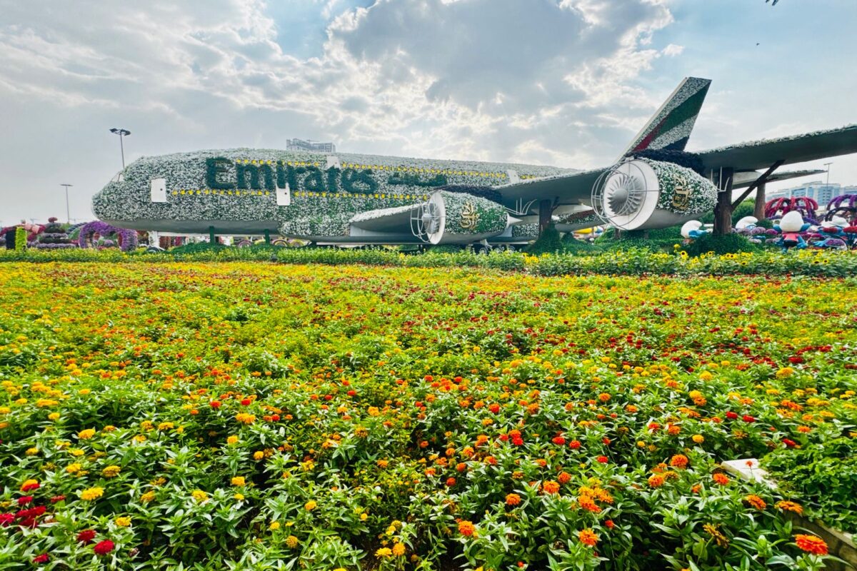 Les nouveautés éblouissantes du Dubai Miracle Garden cet automne