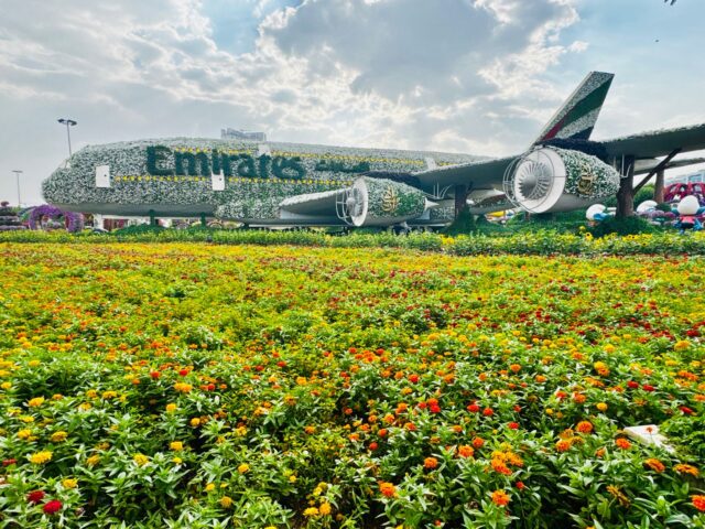 Les nouveautés éblouissantes du Dubai Miracle Garden cet automne